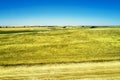 Steppe rural landscape sun-scorched grass road and blue sky Royalty Free Stock Photo