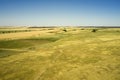 steppe rural landscape sun-scorched grass road and blue sky Royalty Free Stock Photo