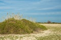 Steppe. Saline bush vegetation. Treeless, poor moisture and gene