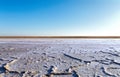 Steppe saline soils. Steppe prairie veldt veld.