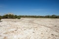 Steppe saline soils