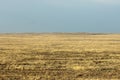 Steppe. Treeless, poor moisture and generally flat area with grassy vegetation in the Dry Zone. Royalty Free Stock Photo