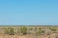 Steppe. Treeless, poor moisture and generally flat area with grassy vegetation in the Dry Zone. prairie, veld, veldt Royalty Free Stock Photo