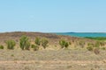 Steppe. Treeless, poor moisture and generally flat area with grassy vegetation in the Dry Zone. prairie, veld, veldt Royalty Free Stock Photo