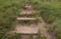 Stepped Hiking Pathway Bordered by Green Grass