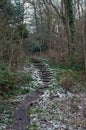 Stepped path going uphill between old trees in woodland with tangled branches and ivy with patches of snow