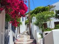 Stepped Path, Skyros Greek Island Royalty Free Stock Photo