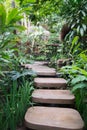 Stepped path through the Thai nature