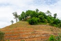 Stepped soil on hill with green tree and sky