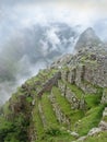 Stepped terraces of Machu Picchu in Peru Royalty Free Stock Photo