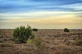 In the steppes of southern Kazakhstan. Royalty Free Stock Photo