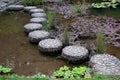 Stepping stone in garden