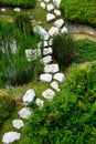 The Stepping Stone Path Royalty Free Stock Photo