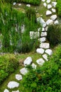 The Stepping Stone Path Royalty Free Stock Photo