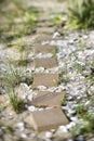 Stepping stone pathway Royalty Free Stock Photo
