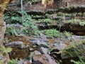 Stepping Stones Across Greaves Creek near a Cliff on the Grand Canyon Track in the Blue Mountains