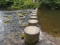 Stepping stones across river Coquet at Rothbury, Northumberland, UK