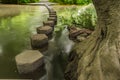 Stepping stones Boxhill, Surrey, England g Royalty Free Stock Photo