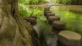 Stepping stones Boxhill, Surrey, England g Royalty Free Stock Photo