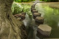 Stepping stones Boxhill, Surrey, England g Royalty Free Stock Photo