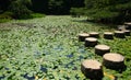 Stepping stones in japanese garden Royalty Free Stock Photo