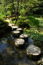 Stepping stones in japanese garden Royalty Free Stock Photo