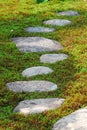 Stepping stones through moss