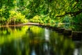 Stepping Stones Royalty Free Stock Photo