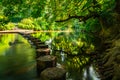 Stepping Stones Royalty Free Stock Photo