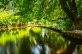 Stepping Stones Royalty Free Stock Photo