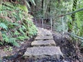 Stepping stones on the Prince Henry Cliff Track in the Blue Mountains of New south Wales