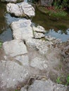 stepping stones river foliage green rock grey clear water