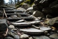 stepping stones on a rocky path in the woods