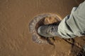 Stepping on Thin Ice Royalty Free Stock Photo