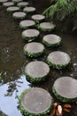 Steppingstones to cross the water