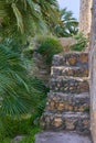 Steps along the wall in the ancient stone castle of Xativa with palm trees Royalty Free Stock Photo