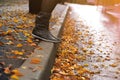 Steps of autumn season Royalty Free Stock Photo