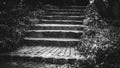 Steps, black and white picture of steps in the castle.