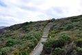 Steps in the Coastal Dunes