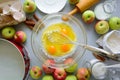 Steps of cooking apple pie. Fresh harvest apples, cinnamon, flour, sugar, butter, eggs, milk and baking mold Royalty Free Stock Photo