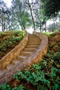 Steps in countryside