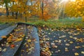 Steps covered in fallen leaves, autumn forest, autumn in the Park, yellow and red leaves on trees in autumn Royalty Free Stock Photo