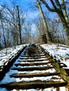 Steps covered in snow leading to a serene wooded area