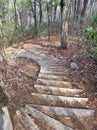 Steps to Tory`s Falls at Hanging Rock State Park