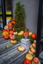 Steps decorated with pumpkins for halloween