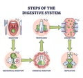 Steps of digestive system with gastric food processing outline diagram