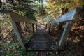 The steps in the fall forest, Canada. Royalty Free Stock Photo