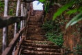 Steps in a forest leading up next to a rock wall Royalty Free Stock Photo