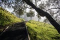 Steps framed by tree branches at Mt Eden summit walking track, Auckland Royalty Free Stock Photo