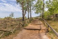 Steps going up the Lemelerberg hill in Overijssel Royalty Free Stock Photo